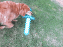 Dog Hold Sword GIF