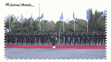somalia somali flag somalia national army somalia force haramcad