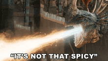 a picture of a dragon with the words " it 's not that spicy "