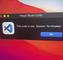 a computer screen displays a message that says visual studio code