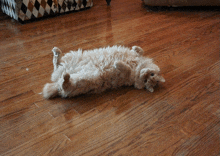 Have A Good Night Have A Good Night Gif GIF