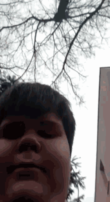 a close up of a person 's face with a tree in the background and a building in the foreground .