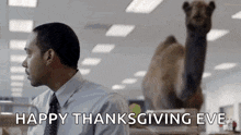 Wednesday Humpday GIF - Wednesday Humpday Camel GIFs