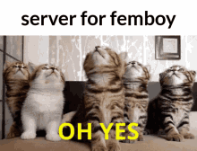 Femboy Server For Femboy GIF - Femboy Server For Femboy Yes GIFs
