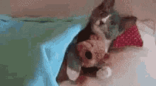 Good Night Bed Time GIF - Good Night Bed Time Lets Sleep GIFs
