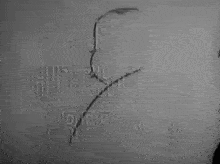 a man is standing in front of a whiteboard with a drawing on it .