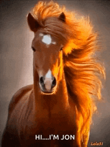 Horse Fabulous GIF