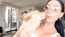Dog Kiss GIF - Dog Kiss Lick GIFs