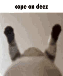 Cope Deez GIF - Cope Deez Cope On Deez GIFs