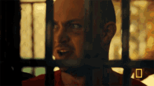 Horrified Reece Harle GIF - Horrified Reece Harle National Geographic GIFs