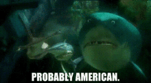 Probably American GIF - Probably American Nemo GIFs