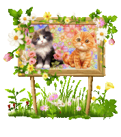 a picture of two kittens in a frame with flowers around them