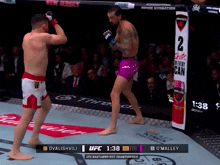 a boxing match between dvalishvili and o'malley is going on