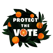 protect the vote florida florida oranges orange orange tree