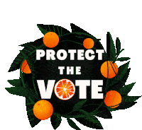 Protect The Vote Florida Sticker - Protect The Vote Florida Florida Oranges Stickers