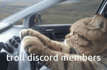 Discord Invite Discord GIF