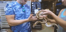 Snake Excited GIF - Snake Excited Scary GIFs