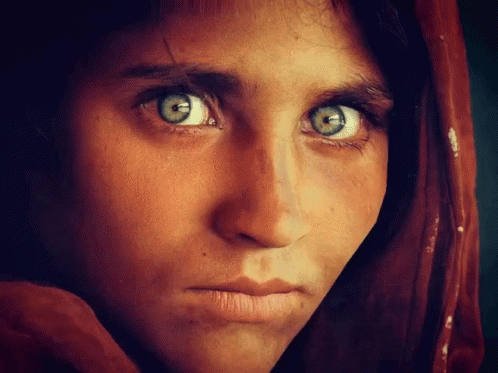 National Geographic Woman GIF - National Geographic Woman Afghanistan GIFs