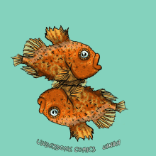 Lumpsucker Fish GIF