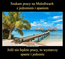 a picture of a tropical beach with palm trees and a dock