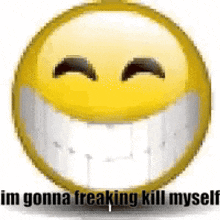 a smiley face with the words `` i 'm gonna freaking kill myself '' written below it .