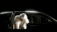 понты сергей зверев шуба свэг GIF - Swag Sergey Zverev Car GIFs