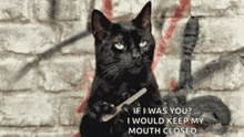 Black Cat GIF - Black Cat Filing GIFs