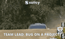 Solicy Bug GIF - Solicy Bug Team Leader GIFs