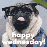 a pug wearing glasses and a denim jacket with the words happy wednesday below it