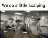 a group of stuffed sharks standing around a table with the words we do a little scalping