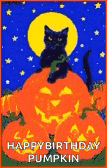a black cat is sitting on top of a pumpkin with the words `` happy birthday pumpkin '' written on it .