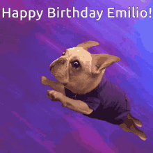 Emilio Birthday GIF - Emilio Birthday GIFs