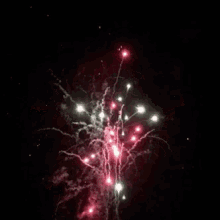 Firework GIF