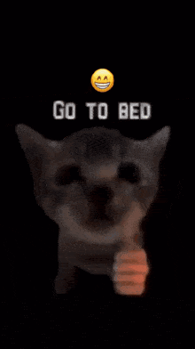Go To Bed Sleep GIF - Go To Bed Sleep Good Night GIFs