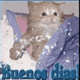 Buenos Días Gato GIF - Buenos Días Gato Corazones GIFs