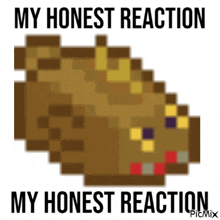 a pixel art drawing of a mouse with the words my honest reaction my honest reaction