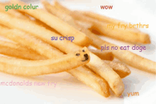 Fries French GIF - Fries French Doge GIFs