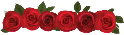 Rosas Sticker - Rosas Stickers
