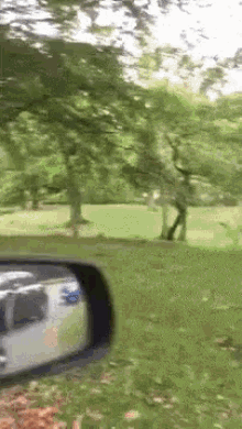 the rear view mirror of a car shows a park with trees and grass