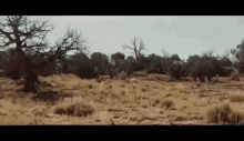 Cowboysandaliens Danielcraig GIF - Cowboysandaliens Cowboys Aliens GIFs