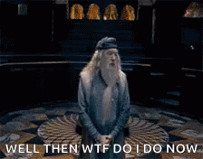 gif of dumbledore with caption "well then wtf do i do now?"