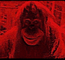 a red background with a drawing of a monkey on it .