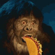 Bigfoot Taco GIF - Bigfoot Taco GIFs