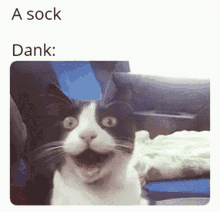Dank Sock GIF - Dank Sock GIFs