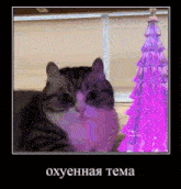 a cat is sitting next to a pink christmas tree in a frame .
