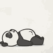 panda work out