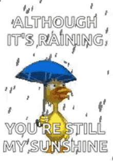 although its raining youre still my sunshine duck rainy day raining sad