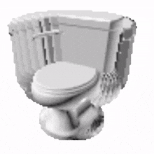 toilet spinning