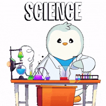 science penguin pudgy lab chemistry