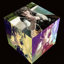 Begging Cube GIF